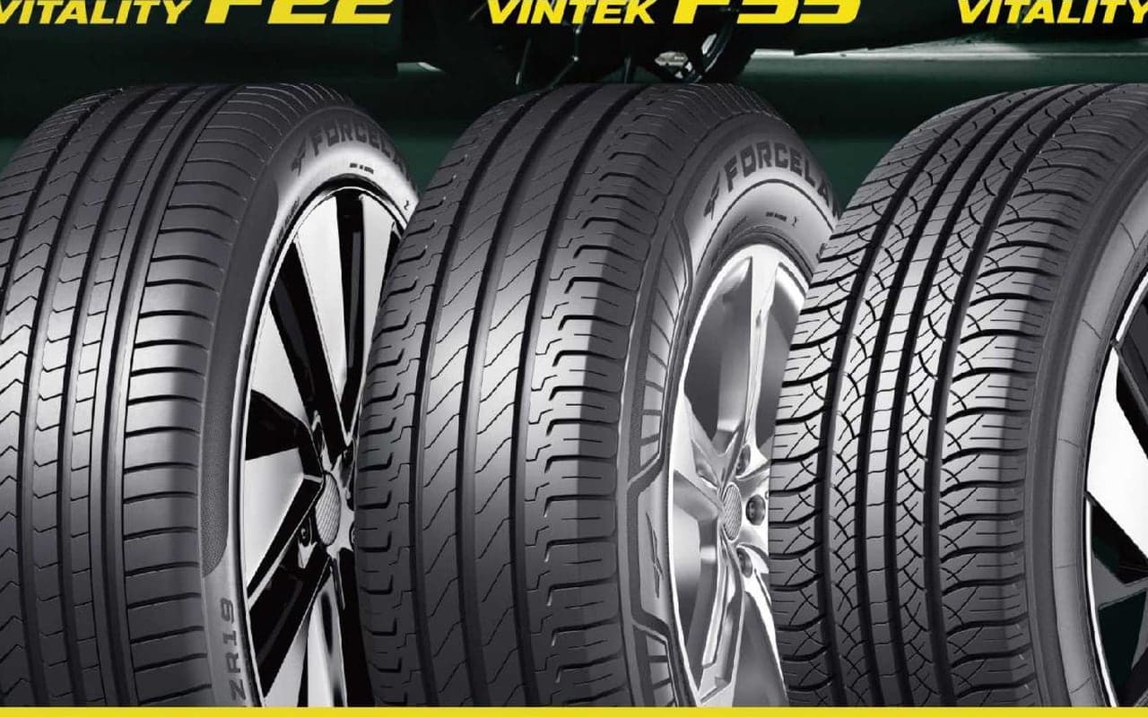 Light truck tire